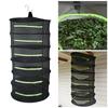 Hanging Basket Herb Drying Net Layers Drying Net for Herbs with Zipper Dryer Mesh Bag Folding Dry Rack For Flowers Buds Plants