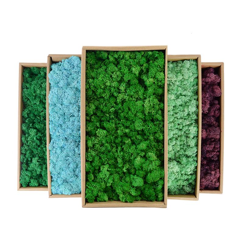 20/40/100g Artificial Green Plants Eternal Life Moss Grass DIY Crafts for Home Garden Room Decoration Mini Landscape Fake Flower