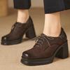 Women Pumps 2024 New High Quality Mary Janes Shoes for Women Fashion Solid Office Career Round Toe Platform High Heels Women