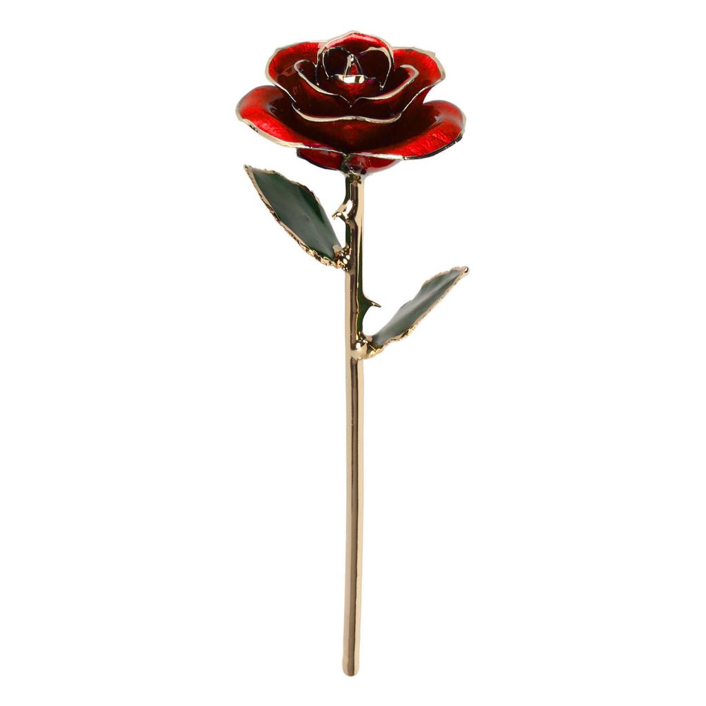 Preserved Rose 24K Gold Plated Bright Luster Rich Details Exquisite Gold Dipped Rose for Birthday