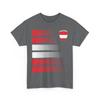 Austria Flag Soccer Tee, Austrian Soccer Shirt, 2026 Jersey Style Shirt