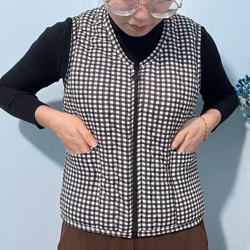 Fur Integrated Vest Lamb Plush Vest Women's Autumn and Winter Versatile Loose Vest Vest Outside