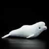 lilizzhoumax Beluga Plush Realistic Deep Sea Fish Plush Whale Ocean Plush Shark Plush Boys and Girls Soft and Garden Home Whale 50cm Toy, Toy, Toy,