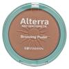 Германия Rothmann Alterra Alterra Bronzing Powder 02 Sun Kissed 9 г