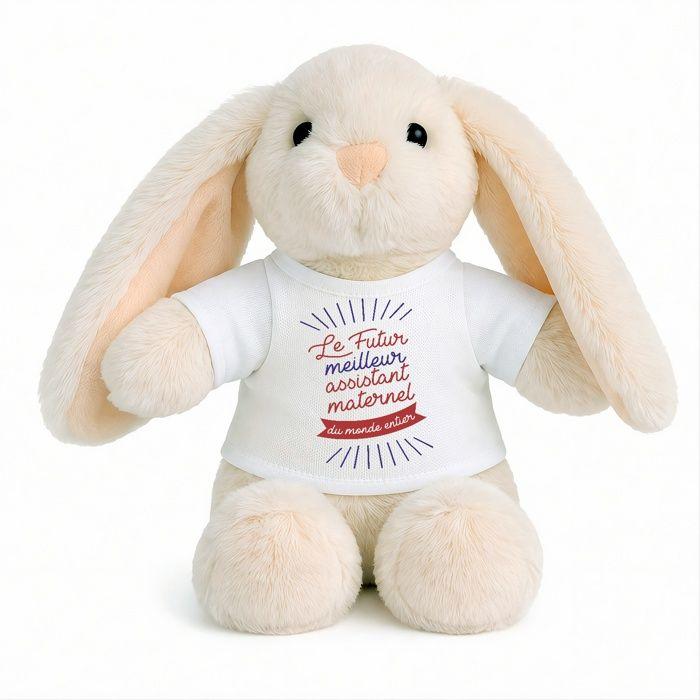 Planetee Peluche Lapin Bébé Doudou Futur meilleur Assistant Maternel Cadeau Naissance Garçon Nouveau-Né Baby Shower