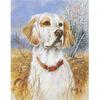 DIY5D алмазная живопись собака Алмазная вышивка горный хрусталь полный круглый/мозаика животное вышивка крестиком домашний декор ручной художественный подарок