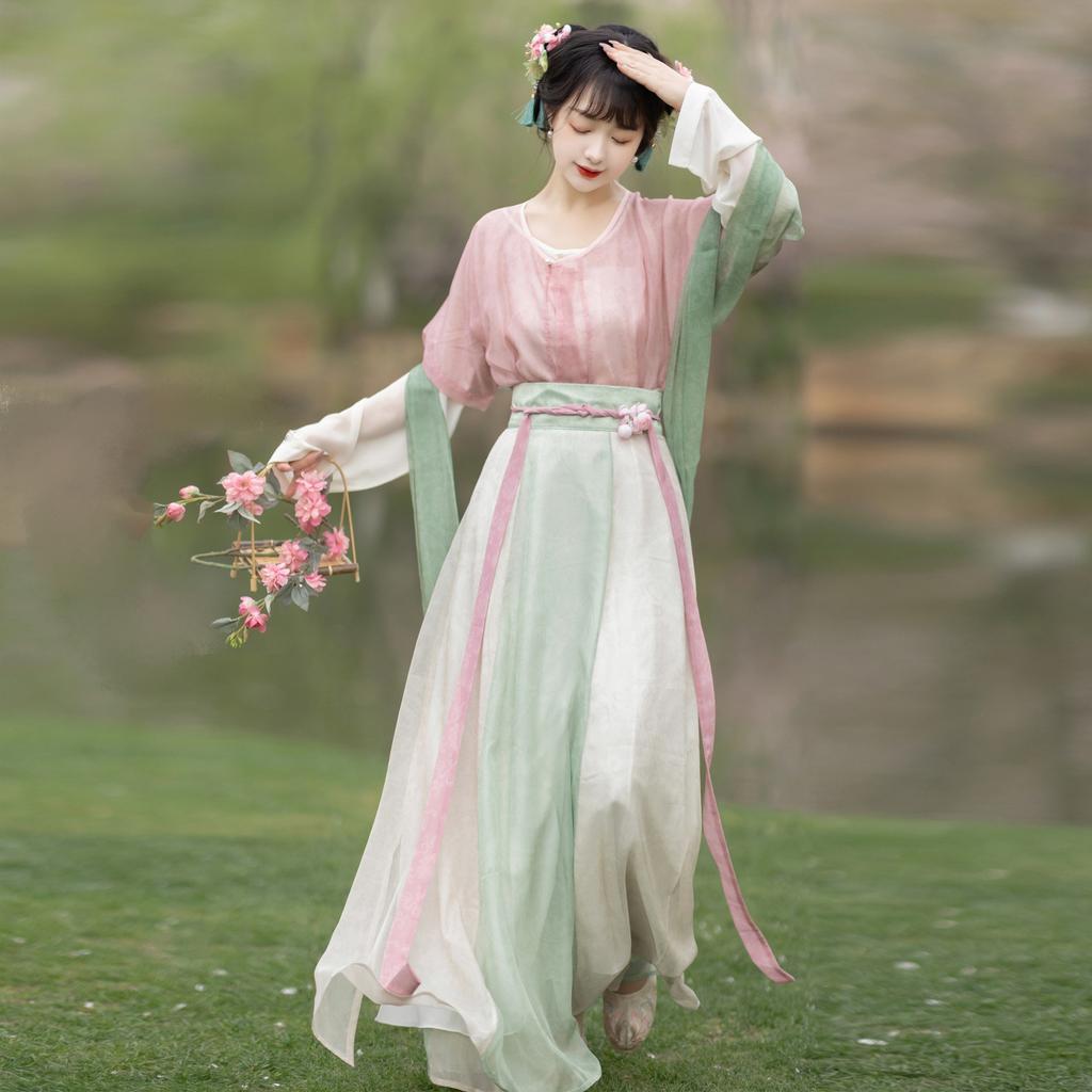 Chinese Tang Dynasty Style Hanfu Printed Daily Women's Suit