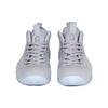 Nike Air Foamposite One Серый Волк Замша 575420-007