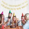 Your Birthday It Is Celebrate We Must Banner - Gold Glitter Birthday Party Decorations, Baby Banner, Baby Cake Smash Photo Props, Hanging Party