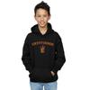 Harry Potter Boys Gryffindor Crest Hoodie