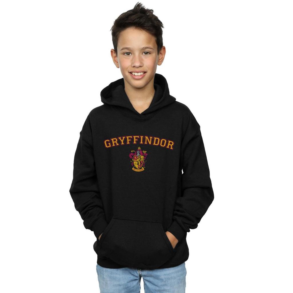 Harry Potter Boys Gryffindor Crest Hoodie