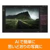 SourceNext Добавлена функция Luminar Neo Программное обеспечение для редактирования изображений с искусственным интеллектом Совместимо с Windows и Mac (версия ИИ) (Последняя версия)