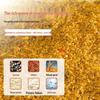 OLDGHOST Snail Carp Wild Fishing Bait 200g