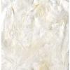 Ruffled Feathers White 10g (large Package)