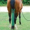 Wh Fringe Equine Сохраняйте хвост чистым Декор для конного снаряжения Товары для ухода