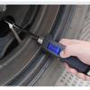 PINKJOY Digital Tire Pressure Gauge 230 PSI Heavy Duty Dual Head Stainless Steel Made For Truck And RV With Backlit LCD And Flashlight Car
