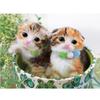 Diamond Painting Cross Stitch Full Drill Love Cat Animal Picture Embroidery Rhinestones Home Decor
