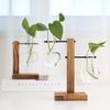 Creative Wooden Frame Hydroponic Glass Vase for Desktop Flower Arrangements