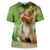 Men Summer Cute Fun Animal Squirrel Figure 3d Printed T-Shirt Casual Personality Comfortable Plus Size O Neck Short Sleeve