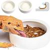 3 Sizes Ceramic Aquarium Pet Reptile Feeder Bowl Basin Food Water Pot Reptile Turtle Tortoise Scorpion Lizard Crabs Supplies