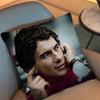 Car Cool Ayrton Senna Pillow Case Sofa Living Room Bedroom Headboard Backrest Cushion Square Cushion Nap Time
