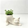 Standing Cat-Shaped Kitten Planter 3D Printed Flowerpot Cute Desktop Decoration  Gardening Gift