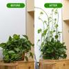 10PCS Invisible Plants Holder Greenhouse Bracket Wall Sticky Hook Plant Clip Rattan Clamp Wall Vines