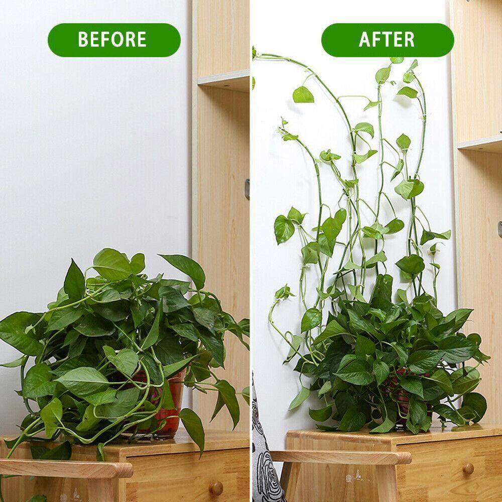 10PCS Invisible Plants Holder Greenhouse Bracket Wall Sticky Hook Plant Clip Rattan Clamp Wall Vines