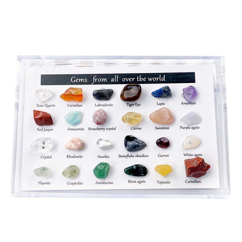 2021 Advent Calendar - 24 Pcs Mini Size Natural Crystal Agate Stone Rocks, Minerals  Fossils Advent Calendar