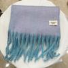 Women's Double-Sided Cashmere-Feel Winter Scarf: High-End, Warm, Tassel Shawl in Versatile Korean Style