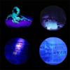 Device Powered LED Light 2in1 Handheld 6V Blacklight UV Ultraviolet Lamp Portable Money Detector