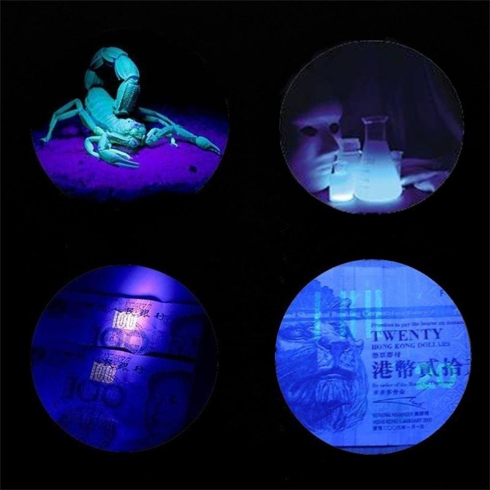 Device Powered LED Light 2in1 Handheld 6V Blacklight UV Ultraviolet Lamp Portable Money Detector