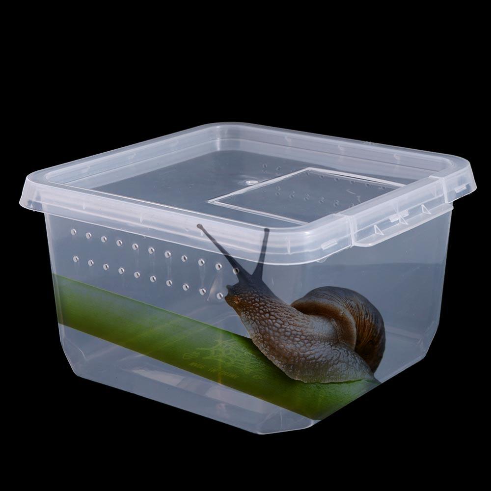 Transparent Reptile Accessories Hatching Tank Reptile Habitat Insect Feeding Box Lizard Living Box