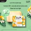 lux Набор: Гель для душа «Ботаническая фрезия» и мыло «Цитрус»
