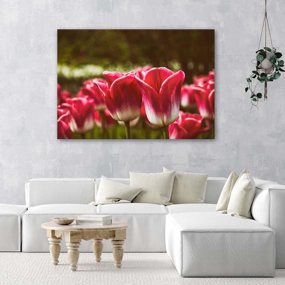 Canvas Print Red Tulip Blossom
