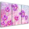 Three Piece Picture Canvas Print Orchid Flower Abstract