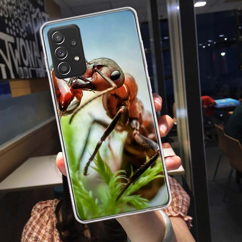Красные огненные муравьи, Рабочие муравьи Чехол для телефона для Samsung A54 A57 A37 A17 A14 A15 A12 A24 A34 A55 A35 A25 A52S A07 A05S A04S A22 A32 A72