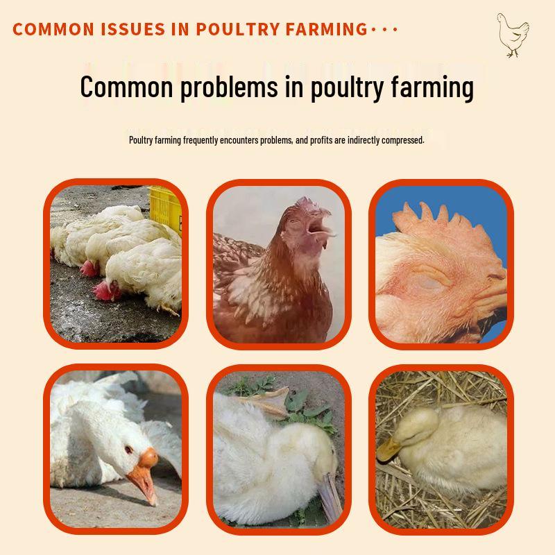 Xinda Mingqin Poultry Oral Liquid 100ml: Chicken, Duck, Bird Supplement