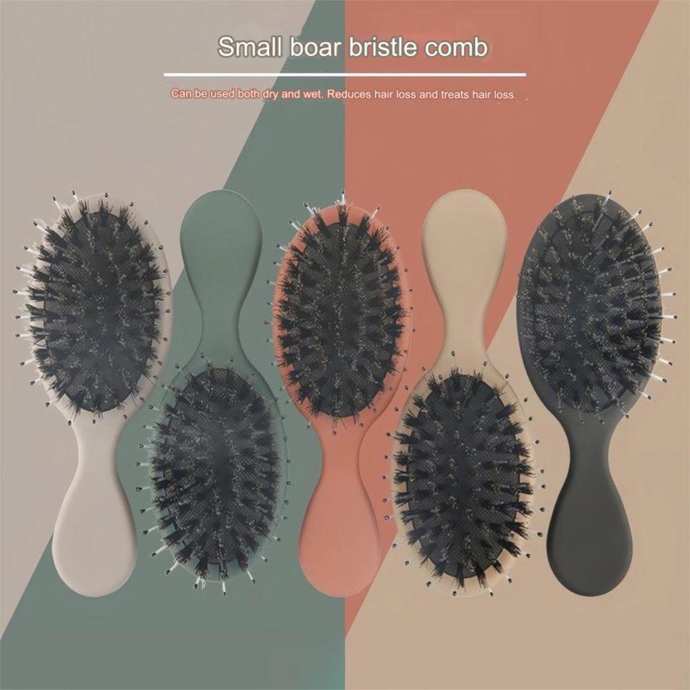 Lightwear Pocket Wet Brush Pig Bristle Massage Comb Portable Hair Comb  Holiday Vocation
