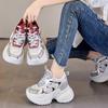 Thick-soled Inner Height Increase 12CM Dad Shoes Women's Autumn New Mesh Breathable Casual Shoes Small Sports Shoes