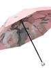 70% off Double-Layer Sunshade Umbrella with Oil Painting Design, Dual-Use for Sun and Rain, Creative Gift, Foldable Umbrella, Black Coating