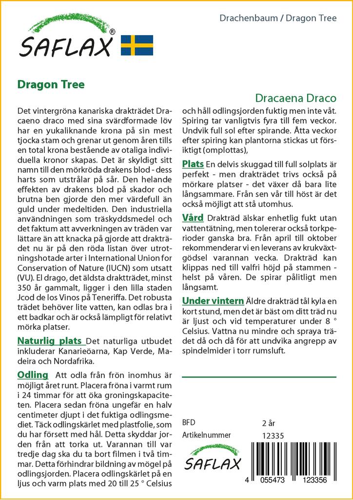 SAFLAX Драконово дерево - 5 семян - Dracaena Draco