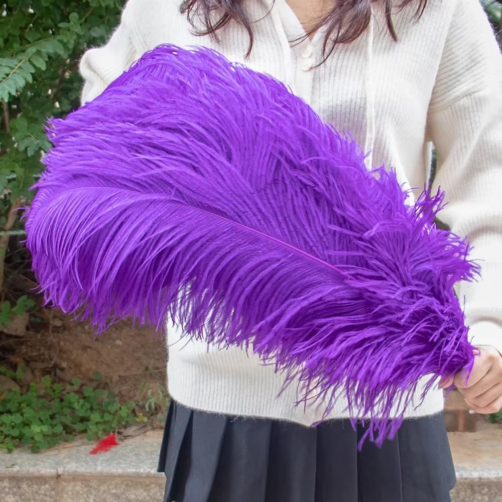 15-60Cm Natural Ostrich Feathers | High-Quality For Diy, Wedding, Party, Stage, Costume & Home Decor | Various Colors Available