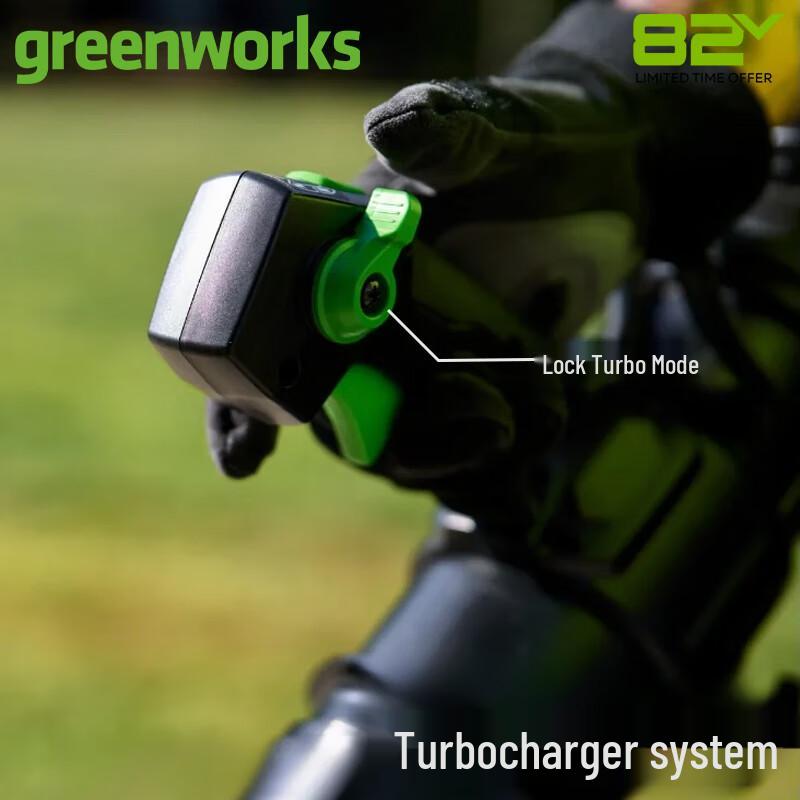Ранцевый воздуходув Greenworks 82V