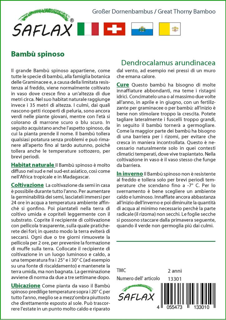 SAFLAX Бамбук большой колючий - 50 семян - Dendrocalamus arundinacea