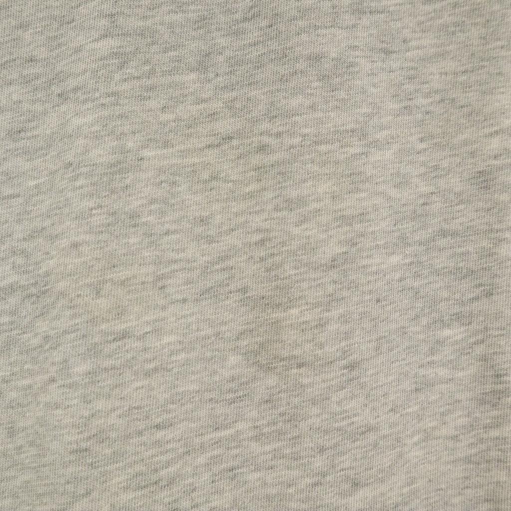 THE NORTH FACE Back logo Short sleeve T-shirt L gray Men's Used