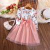 2023 Осеннее детское сетчатое платье принцессы с длинными рукавами, милое платье для девочек
