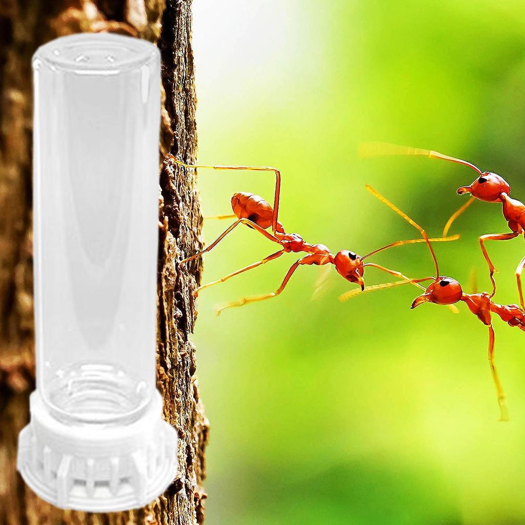 Муравьиная ферма кормушка для воды прозрачная миски для воды для питомцев герметичная портативная аксессуары для муравьиного гнезда сверхпрочная кормовая станция для