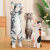 25c mFunny Joy Cute Soft Standing Pose Cat Plush Toys Pause Pillow  Home Decor Doll for Kids Girl Gift