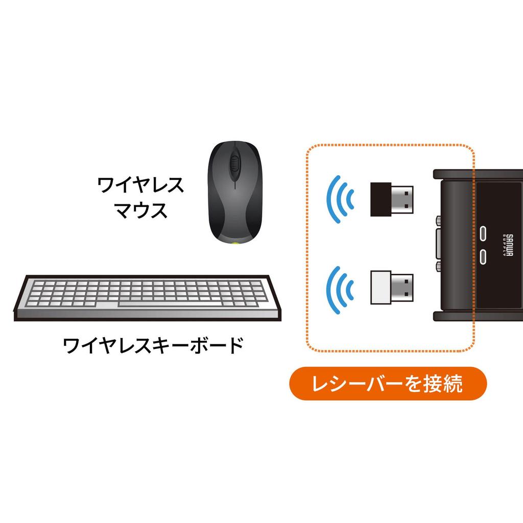 SANWA SUPPLY SW-KVM2UUSN2 Computer Switch (without Emulation and Handheld Switch), Black